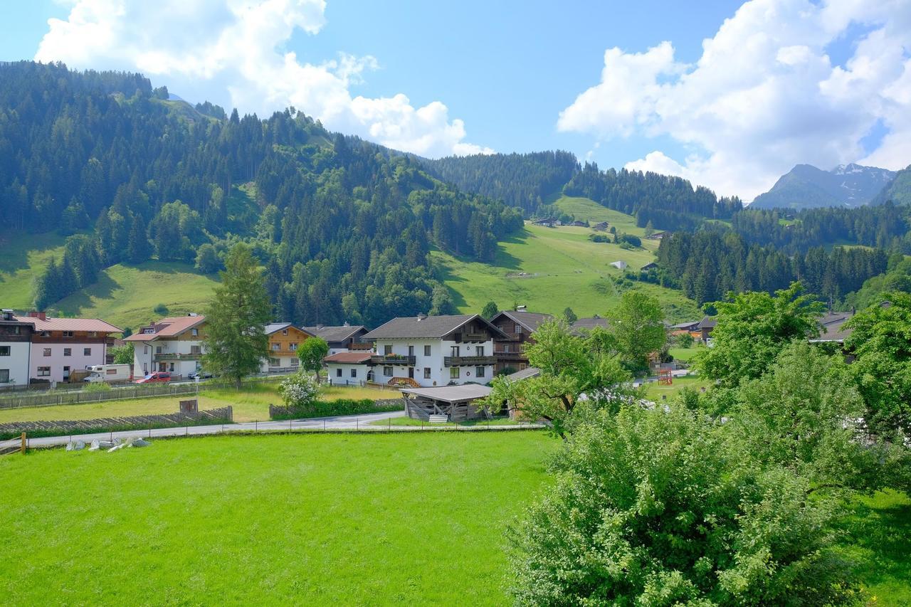 Alpin Penthouse Hollersbach Apartman Hollersbach im Pinzgau Kültér fotó